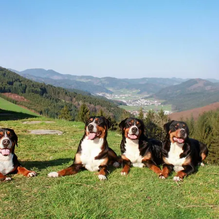 Apartmán Schmalzenhof By Interhome