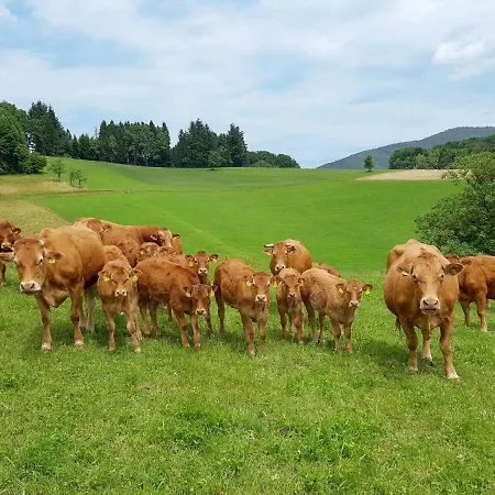 Schmalzenhof By Interhome Hofstetten (Baden-Wurttemberg)