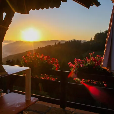 Schmalzenhof By Interhome アパート Hofstetten