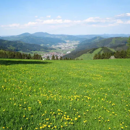 Schmalzenhof By Interhome アパート Hofstetten